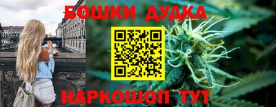 индика Нарткала