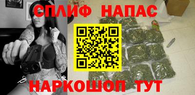 индика Нарткала