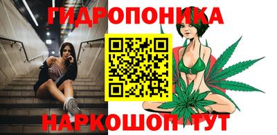 индика Нарткала
