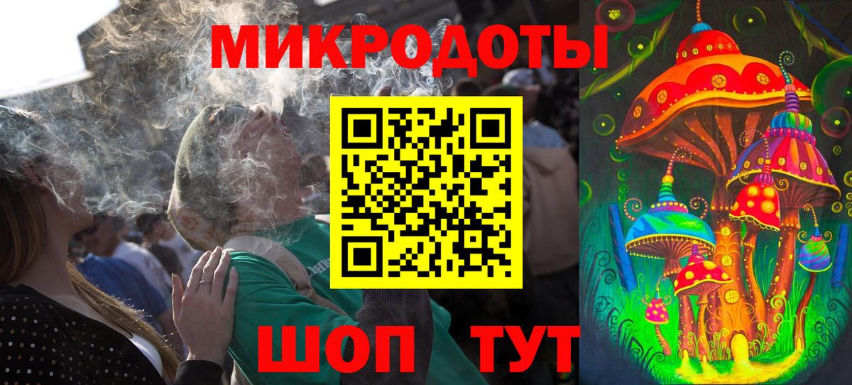 Псилоцибиновые грибы Psilocybe Альметьевск
