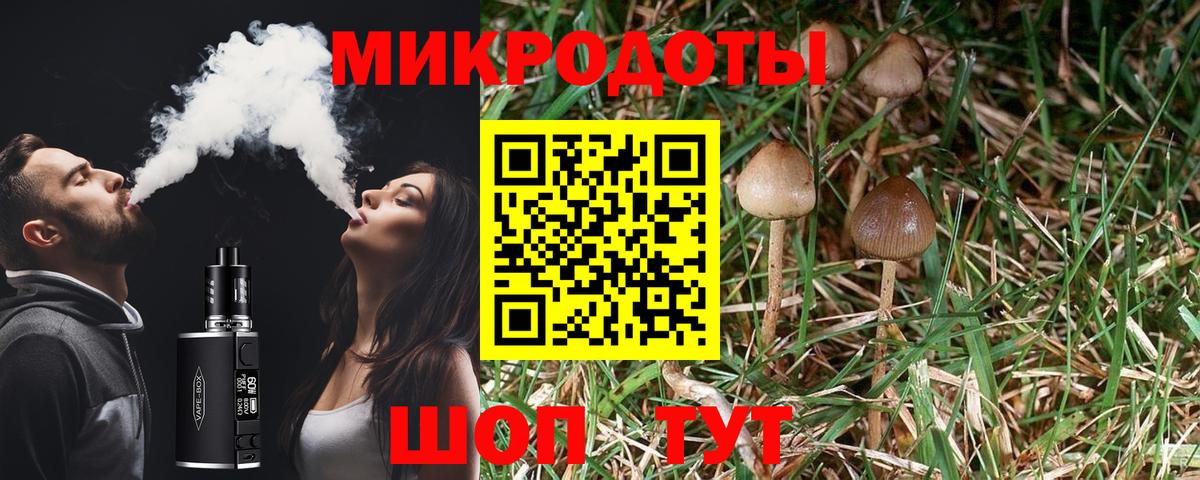 Псилоцибиновые грибы прущие грибы  Вход с VPN  Псилоцибиновые грибы Psilocybe  Альметьевск 
